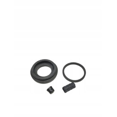 Zestaw naprawczy, zacisk hamulca AUTOFREN SEINSA D4270