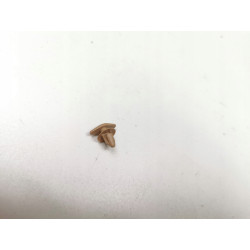 Spinka, uszczelka drzwi Opel Astra J, Insignia A, Zafira C OE 11611343