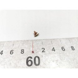 Spinka, uszczelka drzwi Opel Astra J, Insignia A, Zafira C OE 11611343