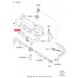 Zespół węża Kontrola emisji spalin - skrzynia korbowa FORD Fiesta 1149762