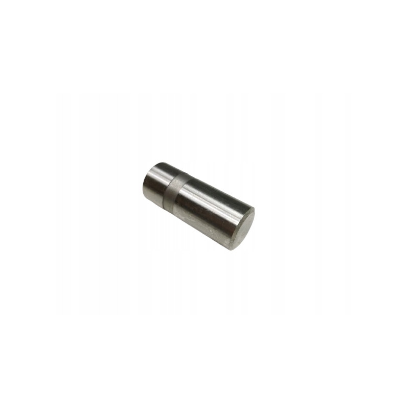 Popychacz hydrauliczny zaworu Polonez 1.6 GLI Polonez 1.6 GSI 077305 77305