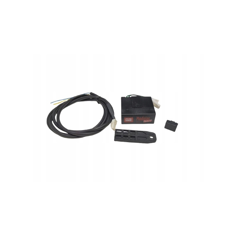 Modular EMU per sonda 0-5V BRC 06LB00003013A 06LB3013A