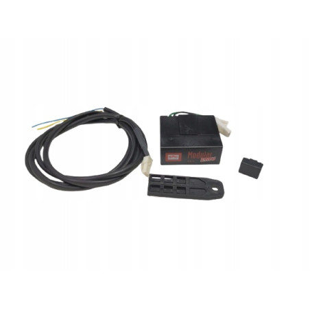 Modular EMU per sonda 0-5V BRC 06LB00003013A 06LB3013A