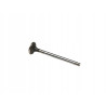 Zawór wydechowy TRANCO FEDERAL MOGUL Nissan 03991004 S3885-F S3885