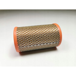 Filtr powietrza MOTRIO Renault Clio Twingo 8671002476