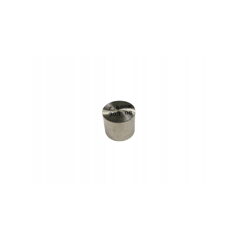 POPYCHACZ ZAWOROWY 7.800K 303 08 RENAULT CLIO II KANGOO OE 7700102359