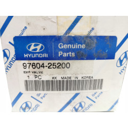 Zawór rozprężny Hyundai Accent 1999- OE F108CBXLA 97604 25200