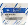 Zawór rozprężny Hyundai Accent 1999- OE F108CBXLA 97604 25200