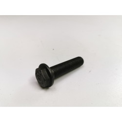 Śruba koła zamachowego M12x1,25x51 Fiat Ducato 2.3D OE 5801669637