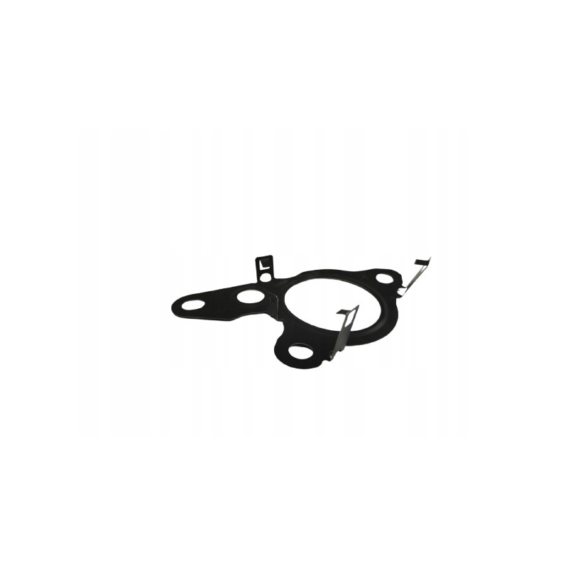 USZCZELKA ZAWORU EGR OPEL MOVANO B RENAULT MASTER III OE 95519091