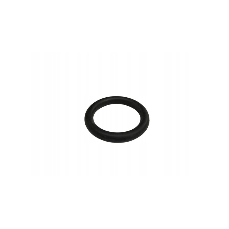 O-ring 48 x 9 wał napędowy Fiat Ducato Typ 290 OE 96173036