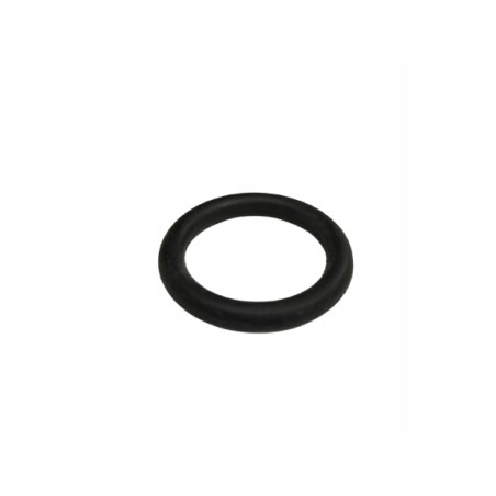 O-ring 48 x 9 wał napędowy Fiat Ducato Typ 290 OE 96173036
