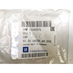 Korek, nakładka śruby 23 mm OPEL Astra G Corsa C OE 6006065 13160976