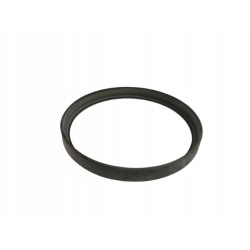 Pierścień magnetyczny abs tył Citroen C4 Peugeot 207 OE 4549.19 4549 19