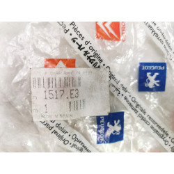 Zawias klapki wlewu paliwa Citroen C4 Grand Picasso 2006 - 2014 OE 1517.E3