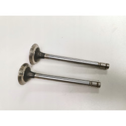 Zawór wylotowy Opel OE 642873 9292324