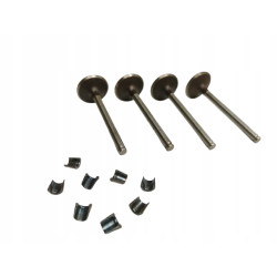 Zestaw, zawory dolotowe Renault 19 11 Super 5 OE 7701462137
