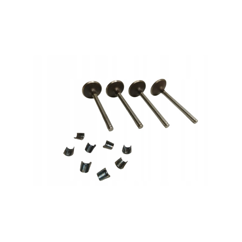 Zestaw, zawory dolotowe Renault 19 11 Super 5 OE 7701462137