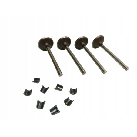 Zestaw, zawory dolotowe Renault 19 11 Super 5 OE 7701462137