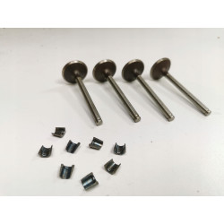 Zestaw, zawory dolotowe Renault 19 11 Super 5 OE 7701462137
