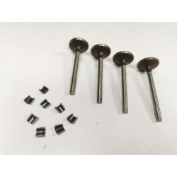Zestaw, zawory dolotowe Renault 19 11 Super 5 OE 7701462137