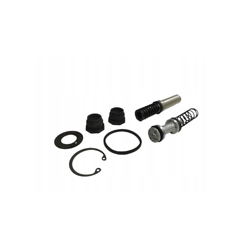Zestaw naprawczy główny cylinder hamulcowy Citroen AX ZX Peugeot 106 463385