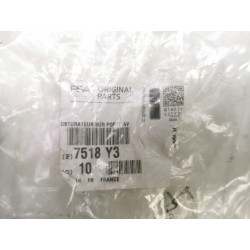 Zaślepka drzwi przednich Peugeota 307, 308, Citroena C2, C3 OE 7518 Y3