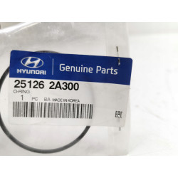 Uszczelka, pompa płynu chłodzącego Hyundai Tucson OE 25126 2A300