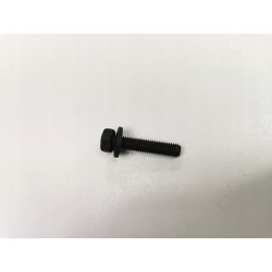 Śruba M6x30 pokrywy rozrządu MINI R52 | R53 OE 07131485184
