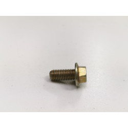 ŚRUBA M10X22MM HAMULCÓW TYŁ FORD FOCUS 98- OE 1473938