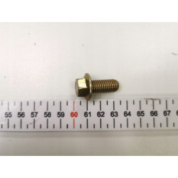 ŚRUBA M10X22MM HAMULCÓW TYŁ FORD FOCUS 98- OE 1473938