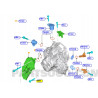 Śruba M8 X 35MM FORD Fiesta CCN 2013-2019 OE 5060765