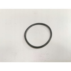 Uszczelka termostatu Citroen C5 III 2.7HDI OE 1636 20