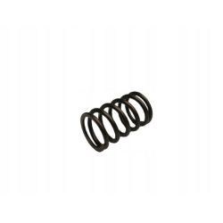Sprężyna zaworu Audi A3 A4 A6 OE 038109633 38109633