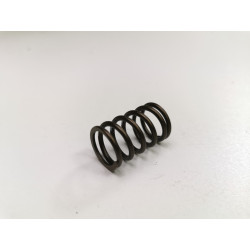 Sprężyna zaworu Audi A3 A4 A6 OE 038109633 38109633