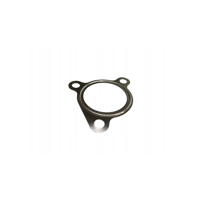 Uszczelka, rura wylotowa FIAT / ALFA ROMEO / LANCIA OE 55186494