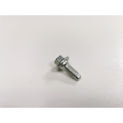 ŚRUBA M8X17 ZAWIASU DRZWI FIESTA 08-19 RANGER 11- OE 1559638