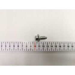 ŚRUBA M8X17 ZAWIASU DRZWI FIESTA 08-19 RANGER 11- OE 1559638