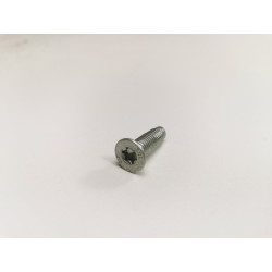 Śruba Torx M8 x 25, ogranicznik karoserii Opel Astra G Corsa D OE 90494891