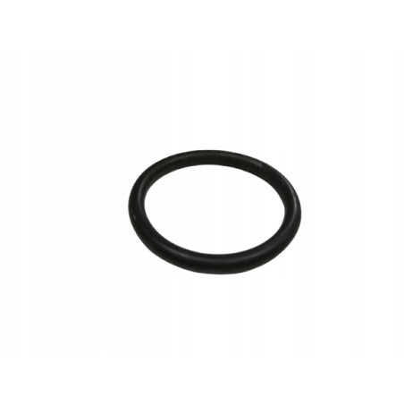 Uszczelka termostatu Volvo S40 V40 OE 30815455
