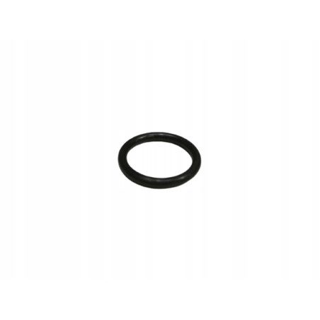 Oring - 20x3 - rury wodnej, zaślepki AUDI / SEAT / SKODA / VW WHT006407