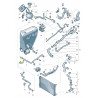 Oring - 20x3 - rury wodnej, zaślepki AUDI / SEAT / SKODA / VW WHT006407