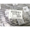 FILTR KABINY KABINOWY PEUGEOT 407 CITROEN C5 C6 647943 6479.43