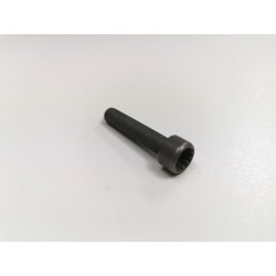 Śruba z ząbkami wewnętrznymi M8X42 Volkswagen Passat Tiguan OE N10827902