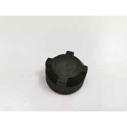 KOREK ZBIORNICZKA WYRÓWNAWCZEGO ALFA ROMEO FIAT 46402982