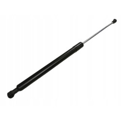 Siłownik RAYFLEX 210522.00