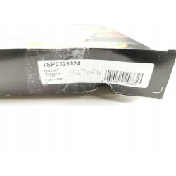 Delphi TSP0325124 Filtr, wentylacja przestrzeni pasażerskiej TSP0325124
