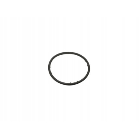 Oring - 62x4 - pompy wody - ORYGINAŁ AUDI / SKODA / VW 045121119A