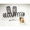 Zestaw, sprężyny zawieszenia VORTEX EIBACH VOLKSWAGEN 3B9071676