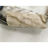 Listwa dachowa lewa Fiat Idea / Lancia Musa 51790693
